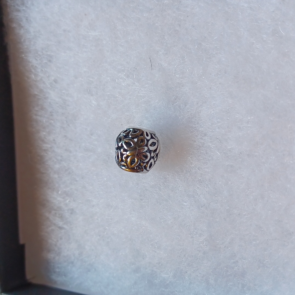 Pandora retired charm